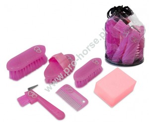 Zestaw do czyszczenia konia York Sweety